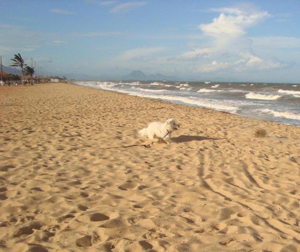 Casa De Praia - Verao Vermelho I - Cabo Frio - Unamar Eksteriør bilde